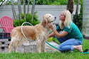 homeandgadget Home 360 Degree Dog Shower Attachment