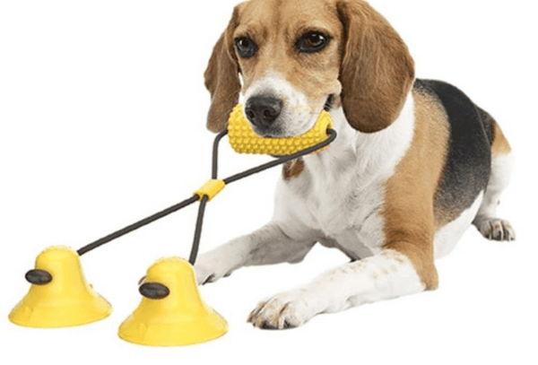 homeandgadget Home Corn Cob Dog Teeth Cleaning Chew Toy