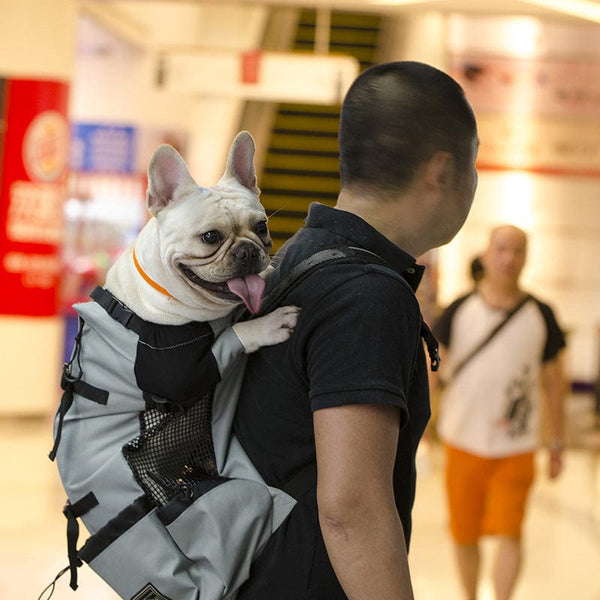 homeandgadget Home Grey / M Dog Backpack Sack Carrier
