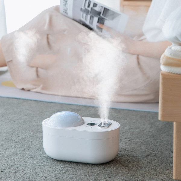 homeandgadget Home Double Spray Projection Humidifier