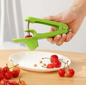 homeandgadget Home Easy Cherry Pitter