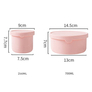 homeandgadget Home Pink / 700ml Eco-Friendly Silicone Bowl Lunch Box