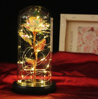 homeandgadget Transparent Enchanted Rose Flower Lamp