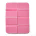 homeandgadget Home Pink Foldable Picnic Mat