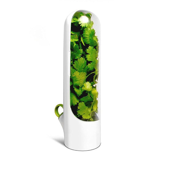 homeandgadget Home Glass Storage Container Fresh Herb Keeper