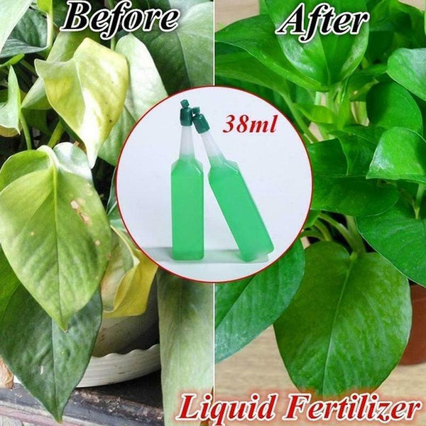homeandgadget Home Healthy Growth Liquid Fertilizer