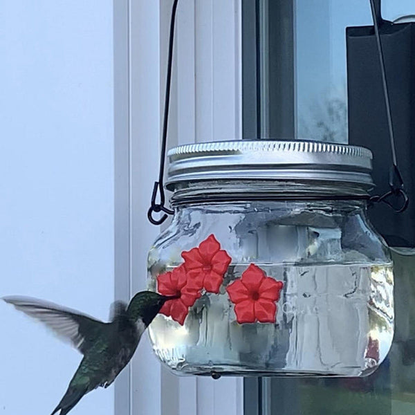 homeandgadget Home Hummingbird Feeder Plastic Flower Bird Feeder