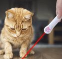 homeandgadget Home Laser Cat Teaser Interactive Toy