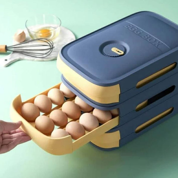 homeandgadget Home Life Easier Egg Storage Box
