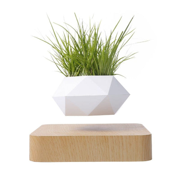 homeandgadget Home Light wood grain / UK Magnetic Levitating Plant Pot For Bonsai, Real & Fake Plants