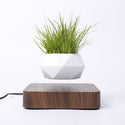 homeandgadget Home Deep wood grain / UK Magnetic Levitating Plant Pot For Bonsai, Real & Fake Plants