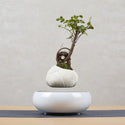 homeandgadget Home Beige striped flower pot / UK Magnetic Levitating Plant Pot For Bonsai, Real & Fake Plants