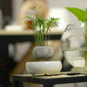 homeandgadget Home Dark striped flower pot / UK Magnetic Levitating Plant Pot For Bonsai, Real & Fake Plants