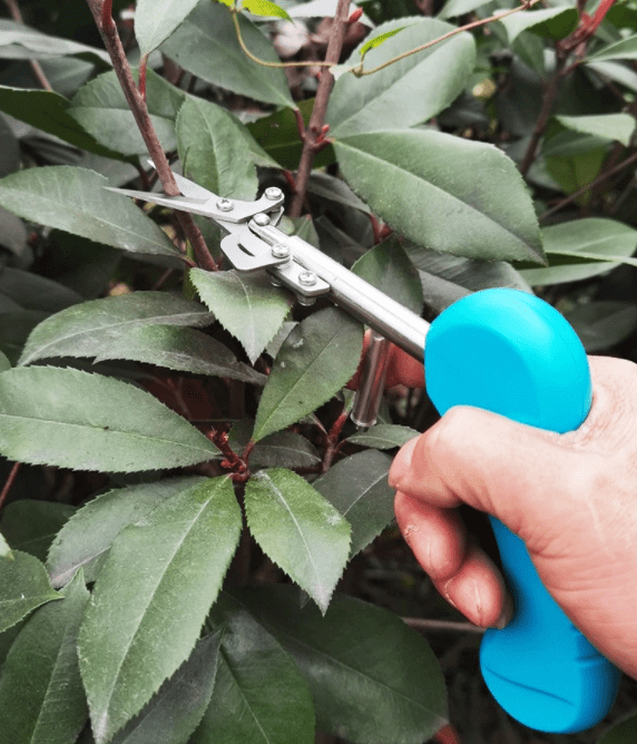 homeandgadget Home Portable Pointed Gardening Scissor