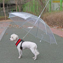 homeandgadget Home Rainproof Umbrella Dog Leash For Small Dogs