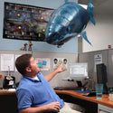 homeandgadget Remote Control Shark Balloon (Shark & Clownfish)