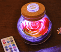homeandgadget Home 1 Rose Light Bottle