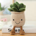 homeandgadget Home Succulent Rice 25cm Silly Succulent Plushies