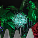 homeandgadget Home Solar Powered Dandelion Garden Color Changing Lights